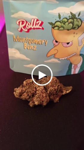 Customer video review of Montgomery Benz THCA Flower
