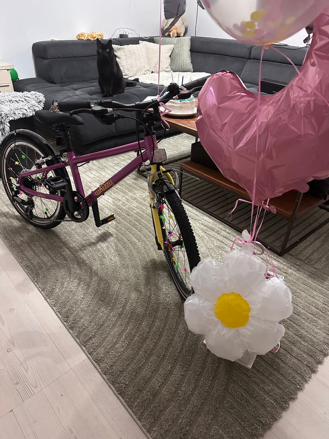 Customer photo review of whizzy Kids XMAS Bike | WildCruiser 20'' Fahrrad Leichtgewicht