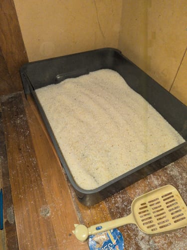 Customer photo review of 1 Month Supply – 1 Cat