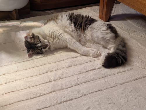 Reviewer's fluffy cat sleeping comfortably on the plush, cream-colored Mellow Mat®.