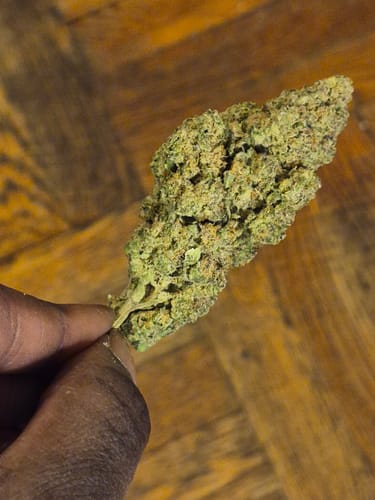 Customer photo review of GDP THCA Flower