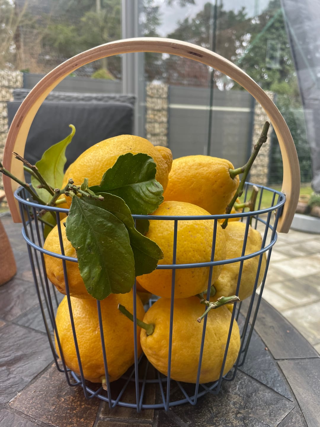 Customer photo review of Zitronen Bio Familie Bilardi Kalabrien 4kg Box Sparpreis %