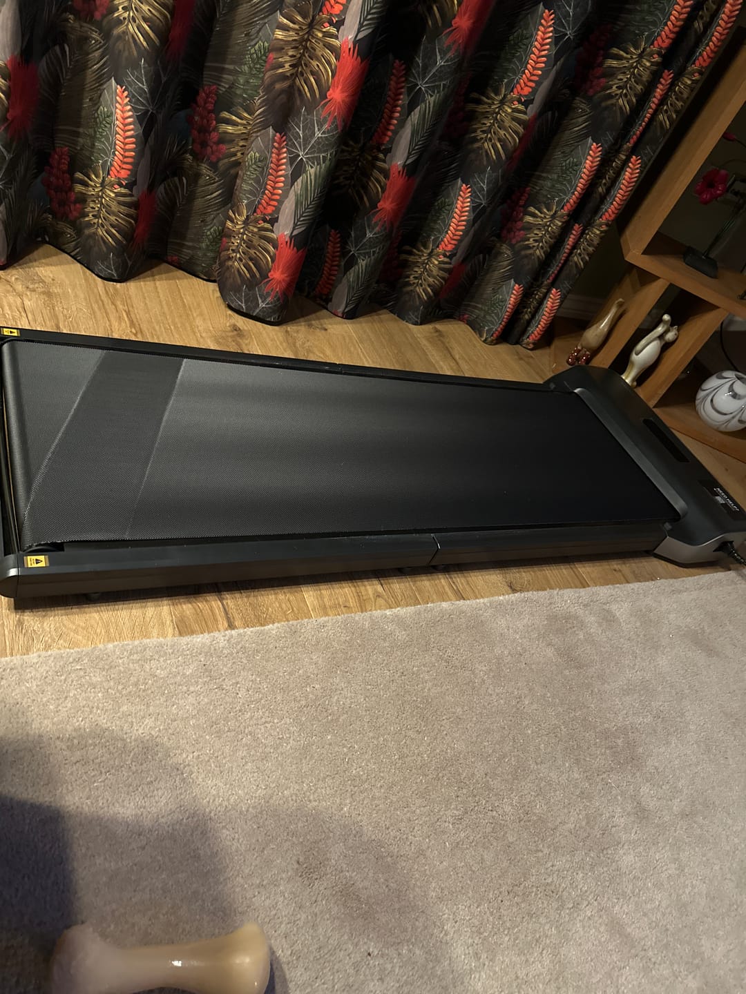 Customer photo review of WalkingPad Z1