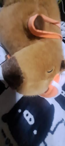 Customer photo review of Diving Capybara Plush Toy