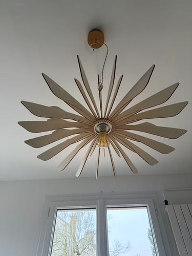 Customer photo review of Ampoule LED 12w