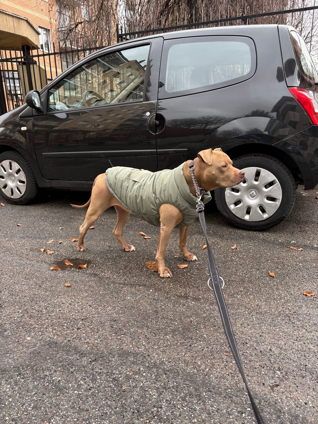 Customer photo review of WarmShield Water-Resistant Jackets