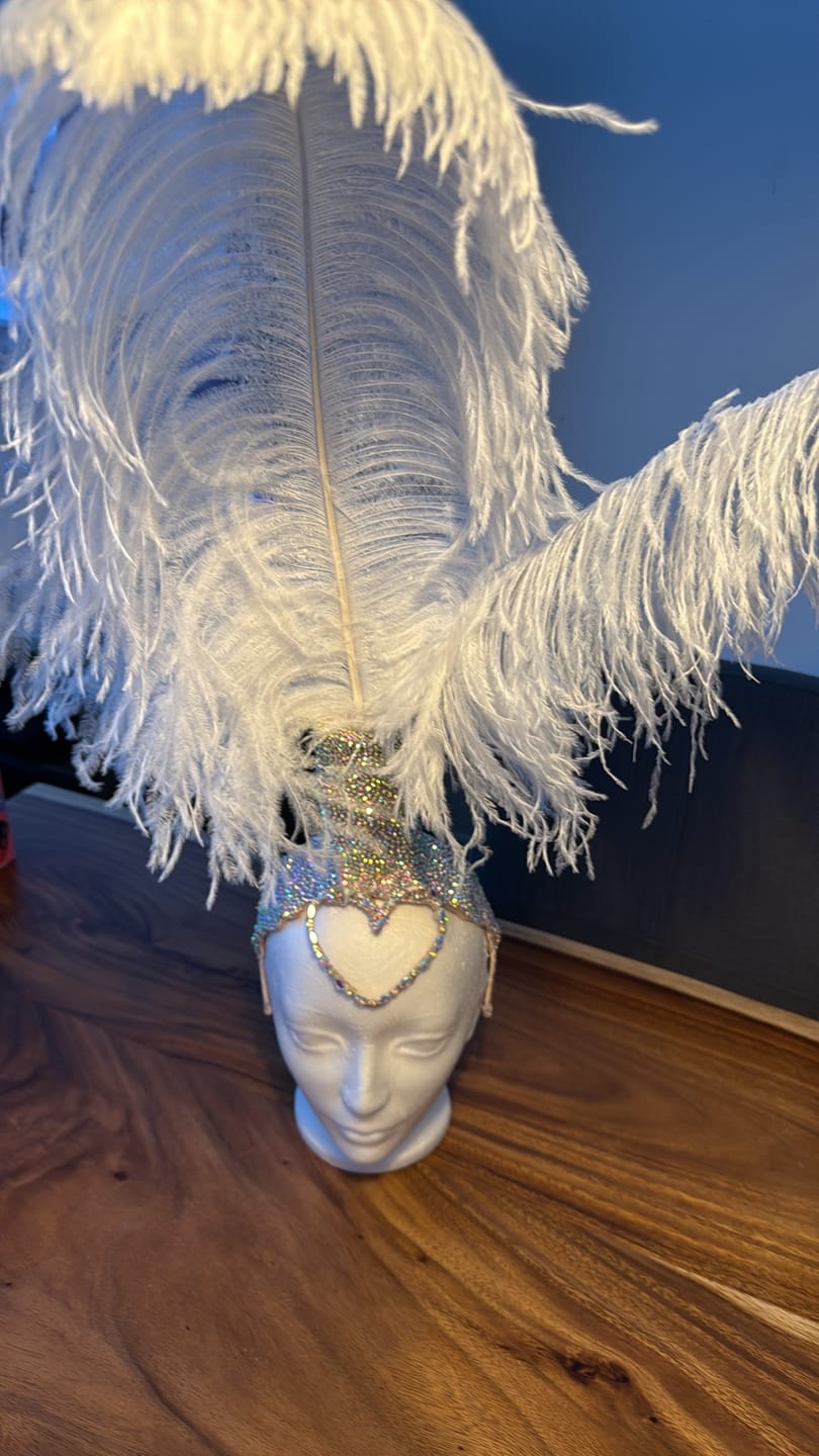 Customer photo review of Ostrich Plume Feathers | Ostrich Plumes