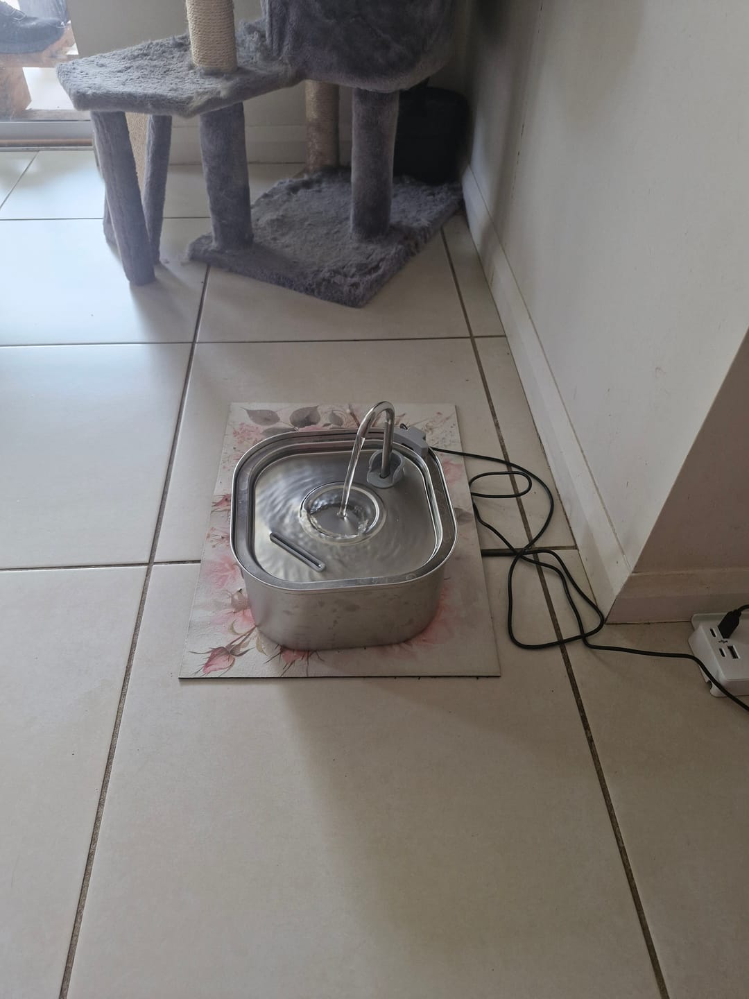 Customer photo review of Whisker Collective Drinking Fountain and Filter Replacement Packs