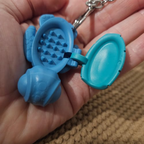 Customer photo review of Calm Buddi Turtle Harm Minimisation Tool on Custom Kaiko Keyring