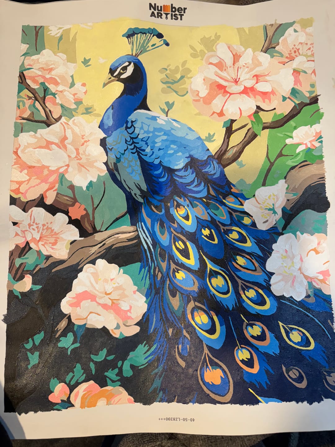 Customer photo review of Charming Peacock
