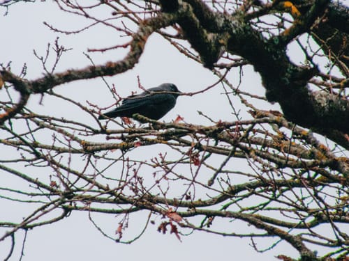 Customer photo review of MINI PRESETS PACK