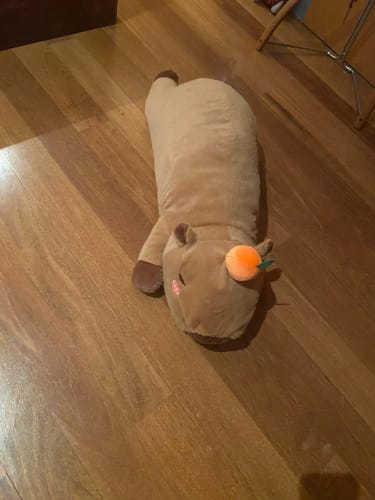 Customer photo review of Giant Capybara Plush Pillow