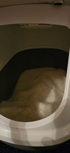 Customer photo review of 1 Month Supply – 3 Cat