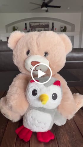 Customer video review of Teddy Bear Stuffed Animal with Voice Recording and Nursery Rhymes