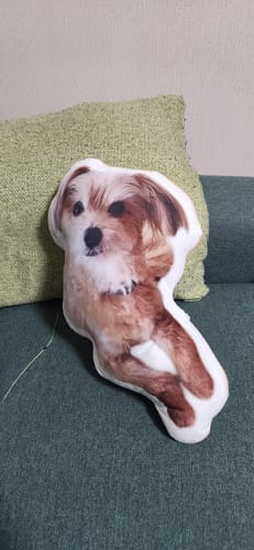 Customer photo review of 本物そっくり♪ペットクッション