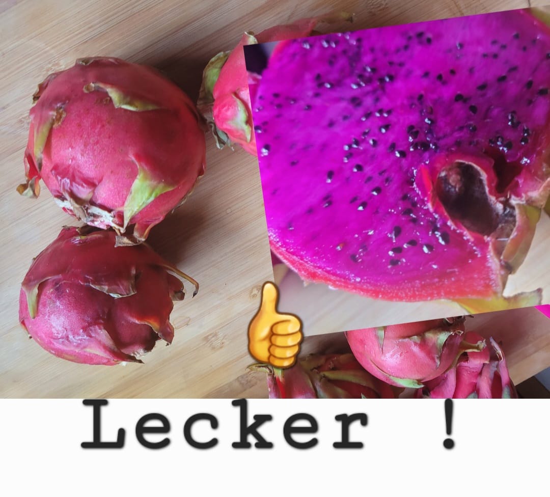 Customer photo review of Drachenfrucht rot von Julian Aktionswoche
