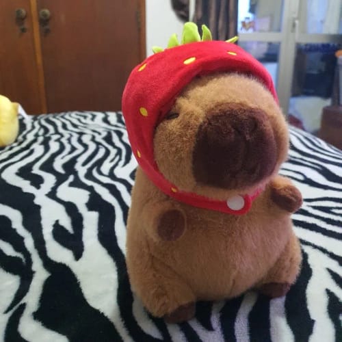 Customer photo review of Food Friends Capybara Plush Collection