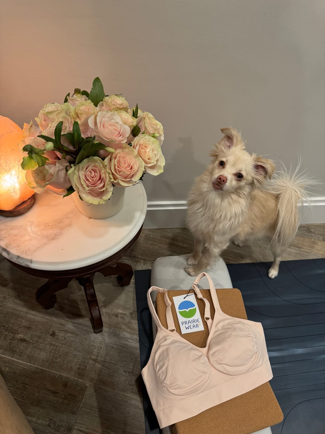 Customer photo review of HuggerARIA