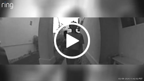 Customer video review of TRIPLE T-THONG