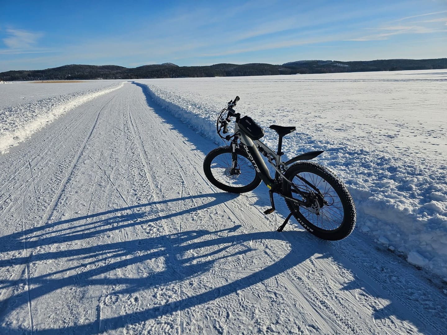 Customer photo review of DUOTTS E29 Electric Bike