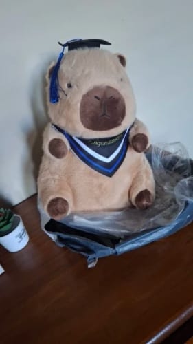 Customer photo review of Graduation Capybara Plush Toy