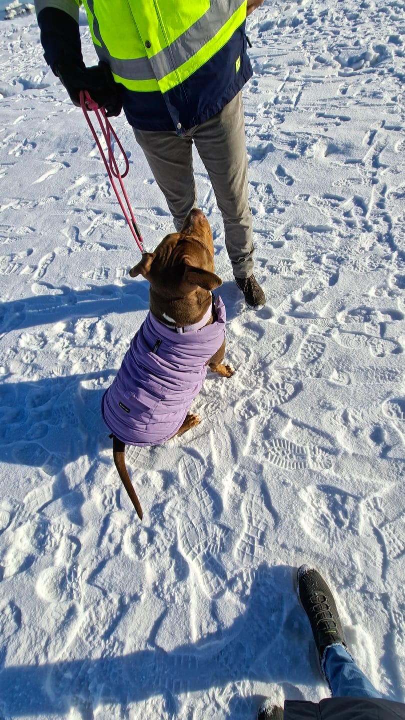 Customer photo review of WarmShield Water-Resistant Jacket - Lilac