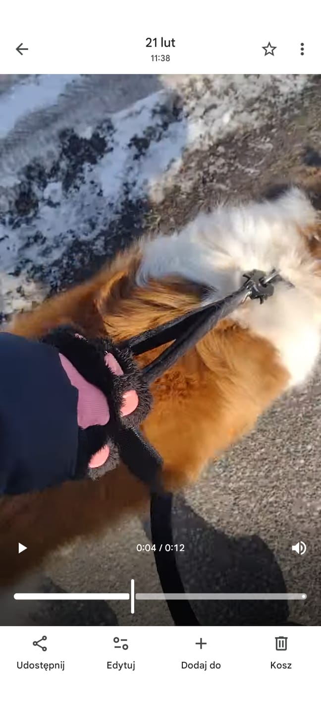 Customer photo review of Smycz z odblaskiem - Guard Leash Safe Czarna