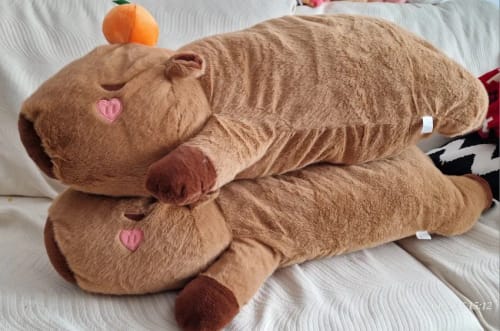 Customer photo review of Giant Capybara Plush Pillow