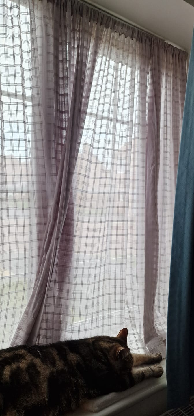 Customer photo review of Grey Checkered Muslin Fabric