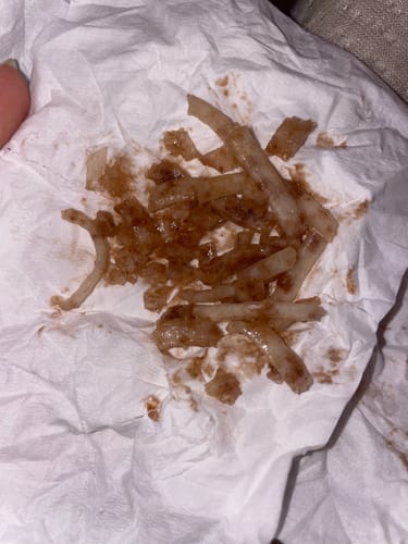 Customer photo review of Pistachio & Chocolate Frozen Treat - NEW