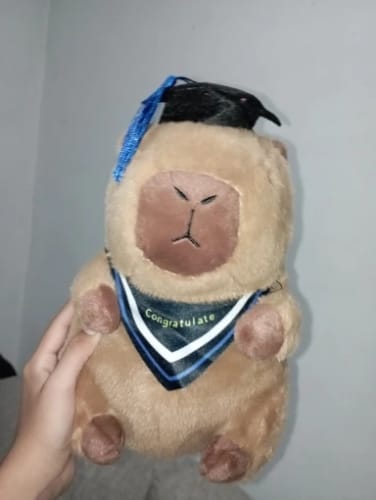 Customer photo review of Graduation Capybara Plush Toy