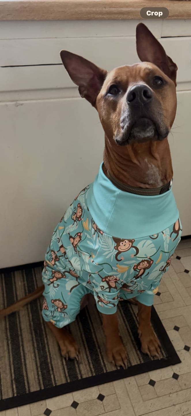 Customer photo review of Dog Pajama - Monkey Business