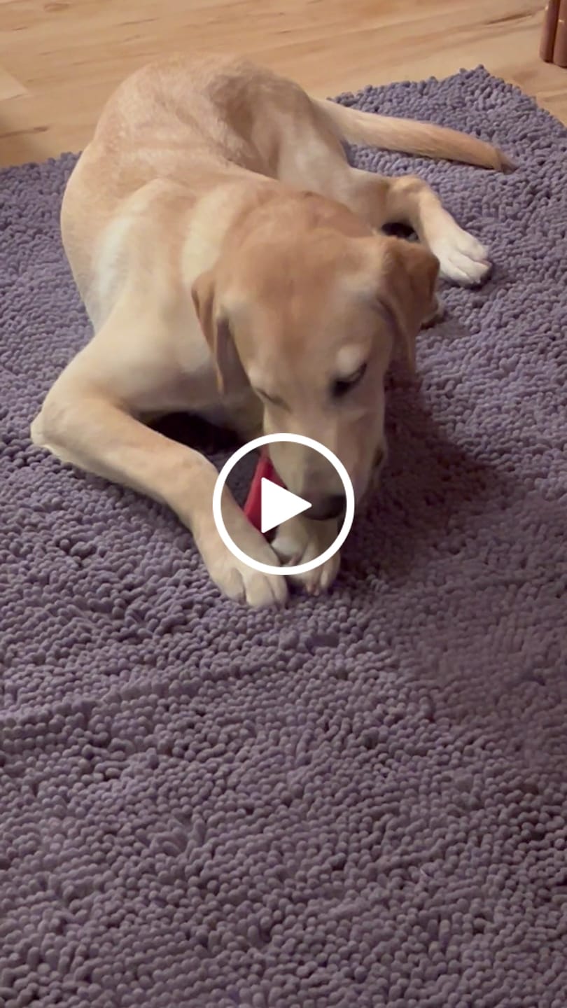 Customer video review of Strawberry Yak Chews