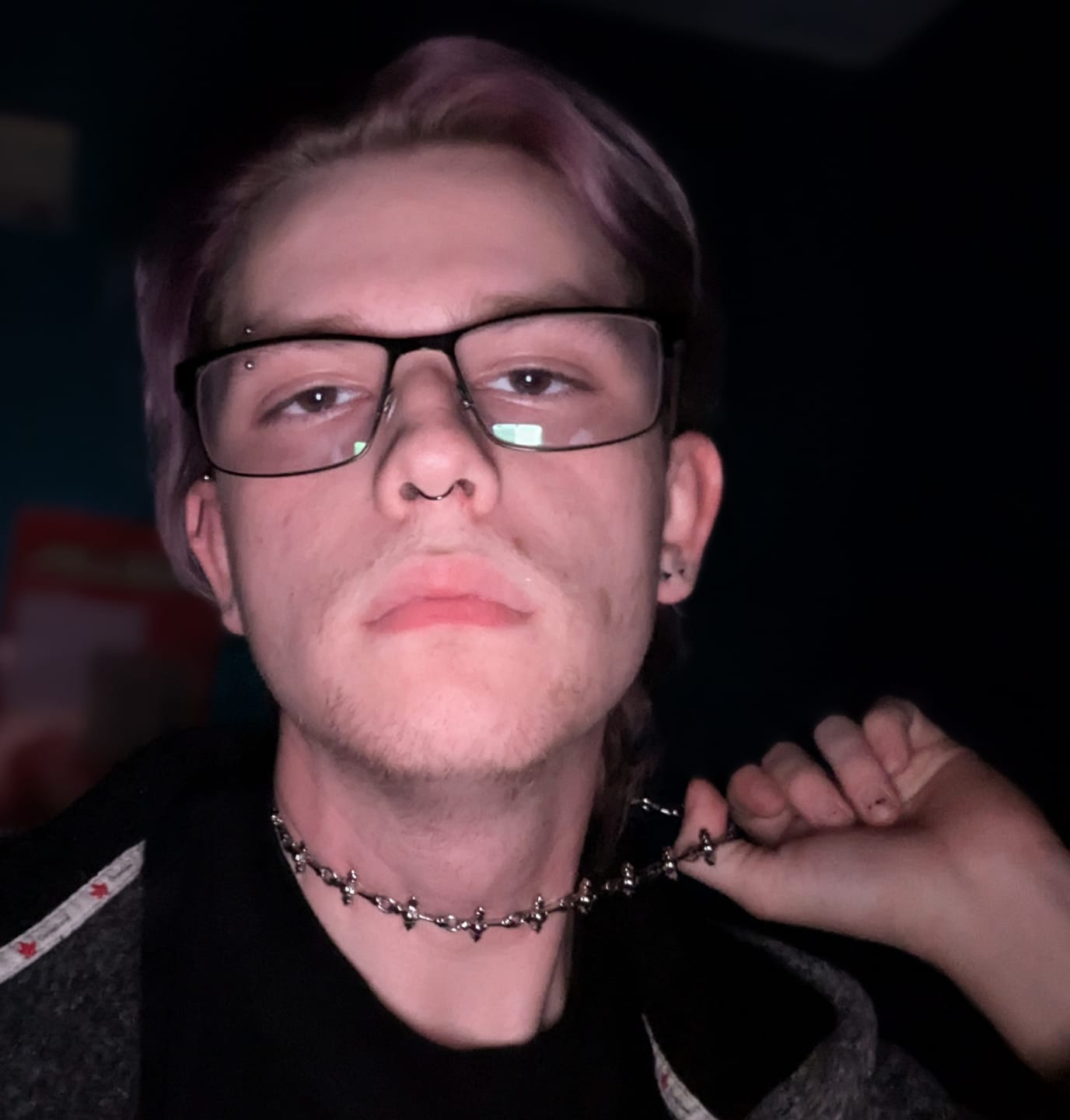 Customer photo review of DYT CHOKER