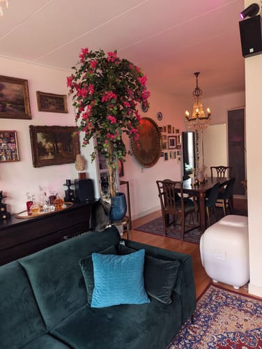 Customer photo review of Bougainvillea Kunstplant 180cm