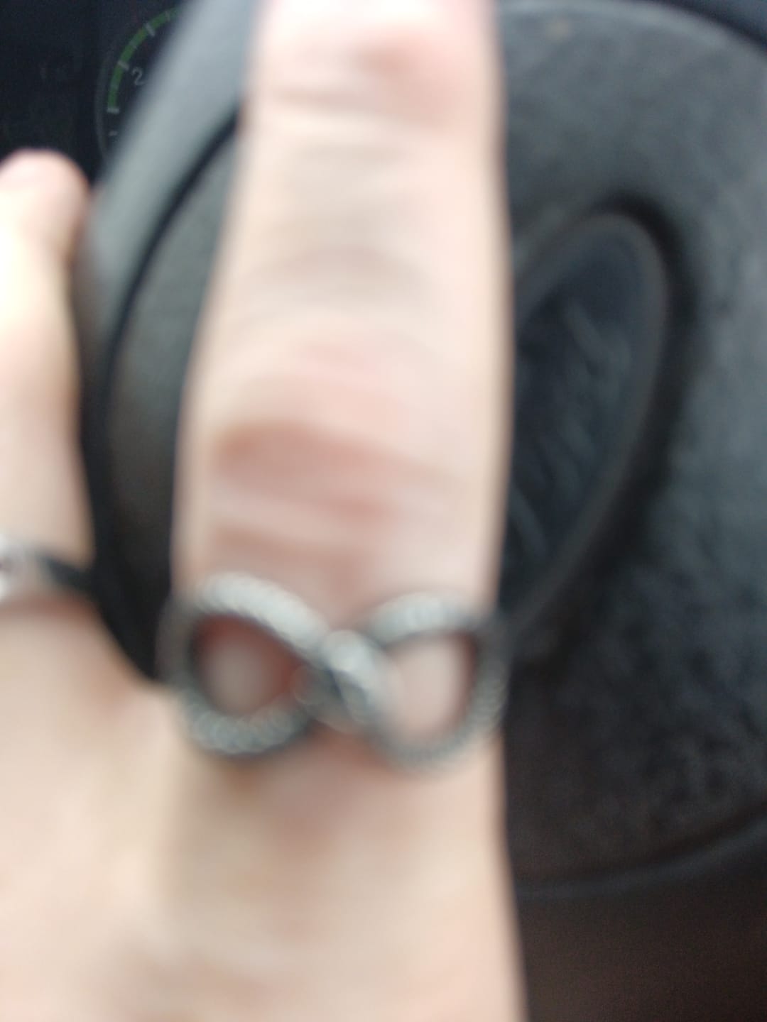 Customer photo review of SERPENT INFINITY.