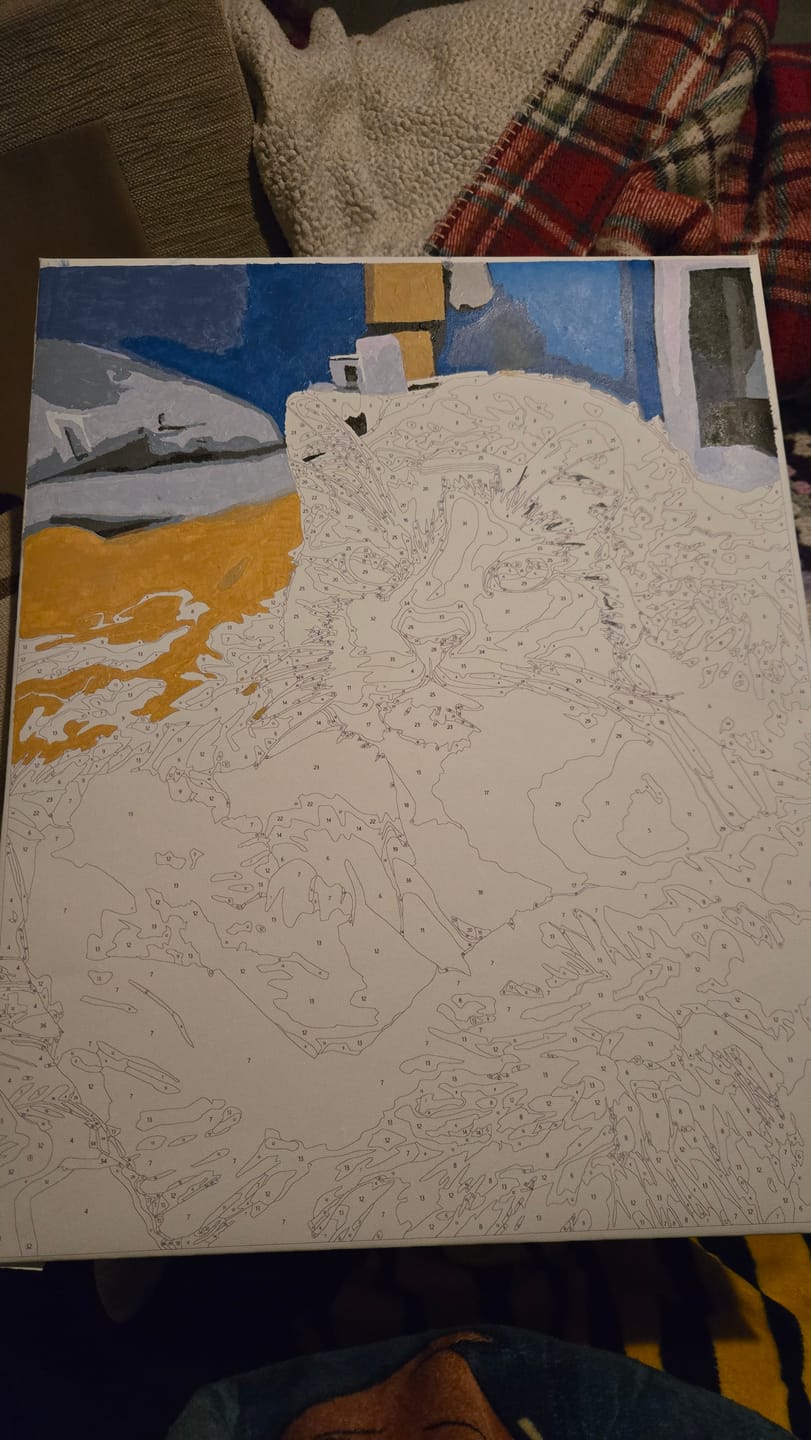Customer photo review of Custom Paint By Numbers