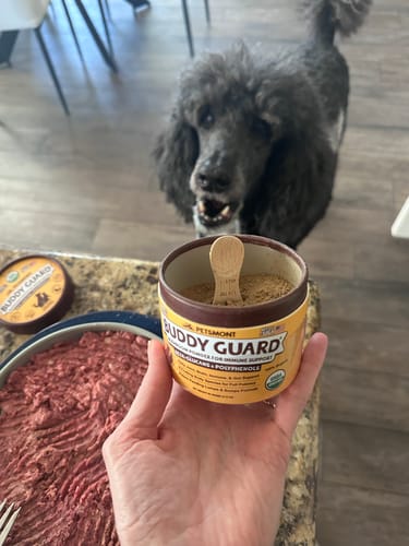Reviewer holding an open jar of Petsmont Buddy Guard powder over a bowl of food, as their dog watches in the background.