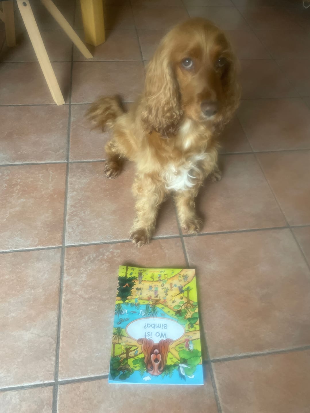 Customer photo review of Wo bist du? - Personalisiertes Hunde-Wimmelbuch
