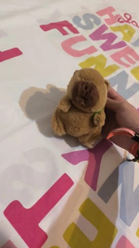 Customer photo review of Diving Capybara Plush Toy