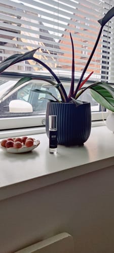 Customer's try size bottle of Lilium Blume Eau de Parfum on a windowsill next to a plant.