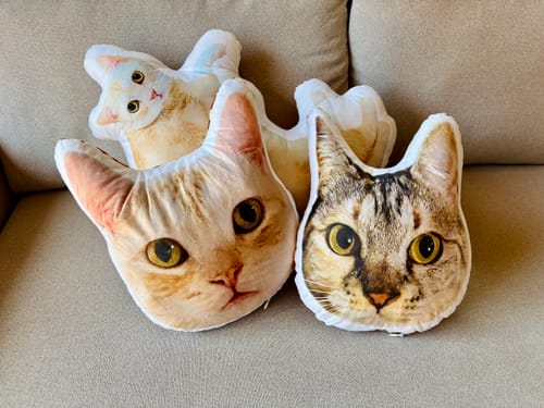 Customer photo review of 本物そっくり♪ペットクッション