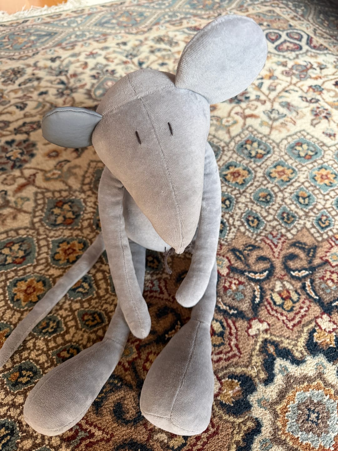Customer photo review of HECTOR LE RAT - L