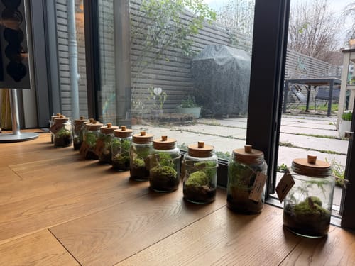 Vom Kunden gebastelte Flaschengärten als Mitgebsel, die in einer Reihe auf dem Holzboden stehen.