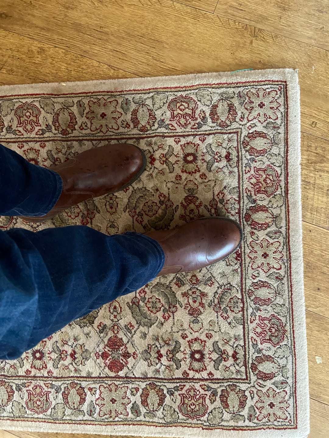 Customer photo review of Ashwicke Zip Ankle Boots Brown