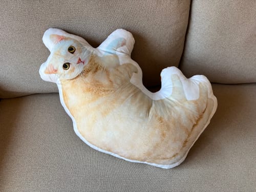 Customer photo review of 本物そっくり♪ペットクッション