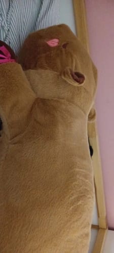 Customer photo review of Giant Capybara Plush Pillow