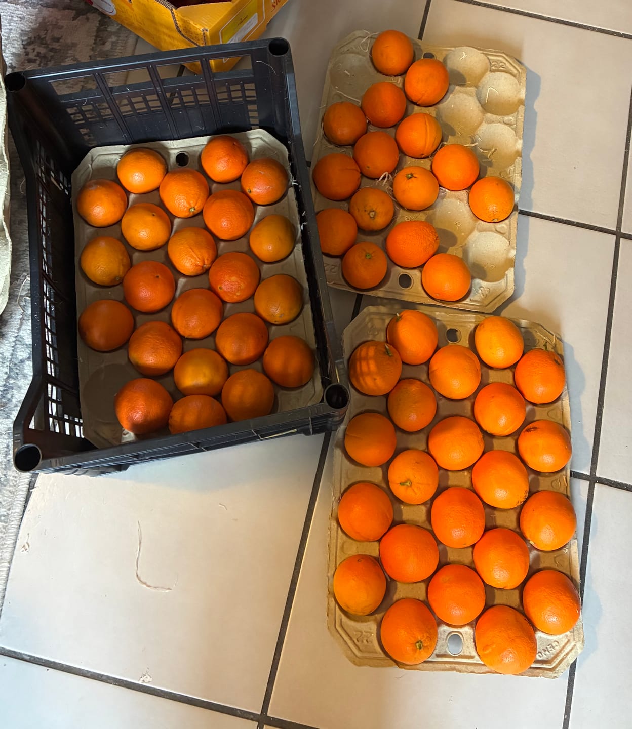 Customer photo review of Saft-Orangen Bio aus Sizilien