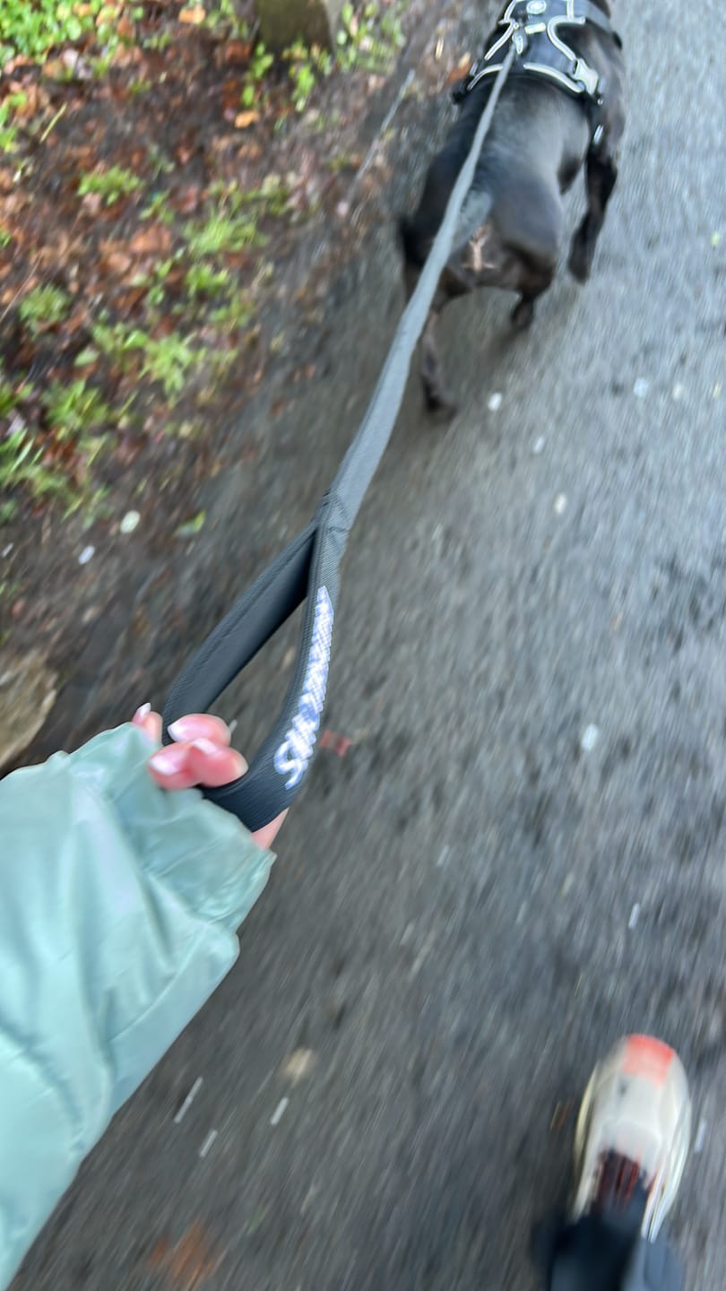 Customer photo review of 1.4m Swivel Combat Lead | Anti-Tangle & Secure Clip - Black