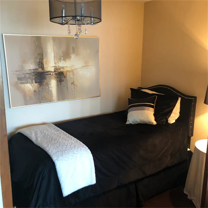 Customer photo review of Abstract Canvas Wall Art #AP264